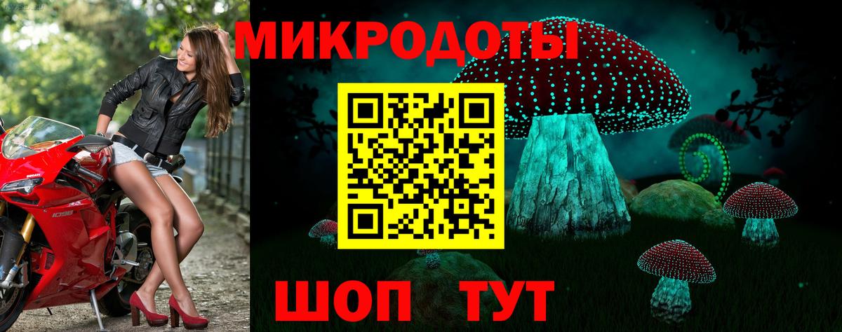 Галлюциногенные грибы Psilocybine cubensis Лыткарино